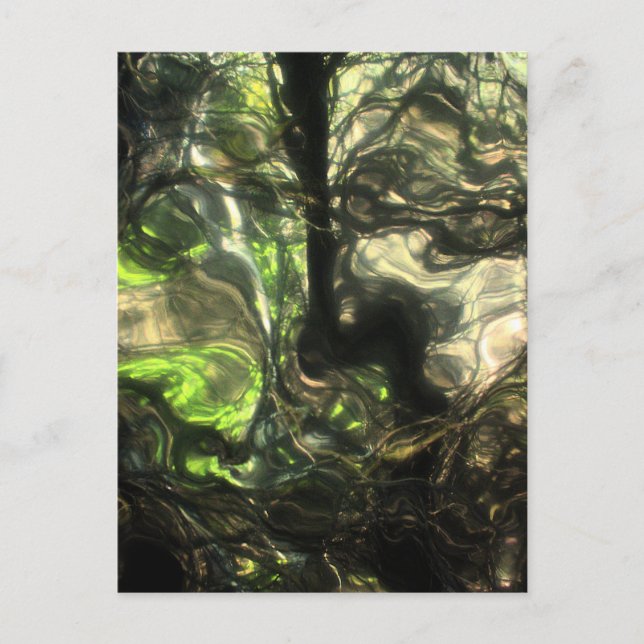 Diese sehr Nacht in Max's Zimmer ein Wald wuchs &  Postkarte (Vorderseite)