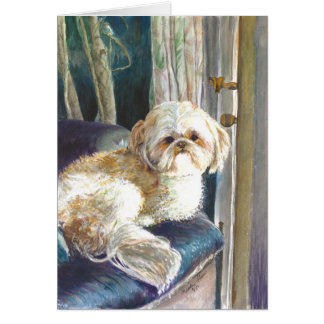 Dieser kleine Hund für seinen Meister gewartet