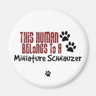 Dieser Mensch gehört einem Miniaturschnauzer an Magnet