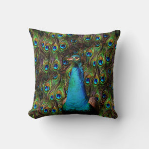 Dieser Pfau passt Sie auf! Kissen