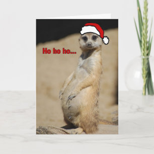 Dieser Schwangere Meerkat Santa Momma Feiertagskarte