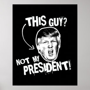Dieser Typ ist nicht mein Präsident -- Anti-Trumpf Poster