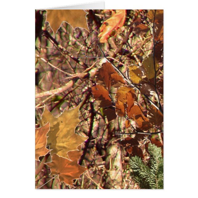 Dieses Bild kann von der Jägerwaldgemäldemalerei a (Vorne)