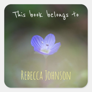 Dieses Buch gehört Quadratischer Aufkleber