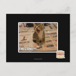 Dieses hier! postkarte