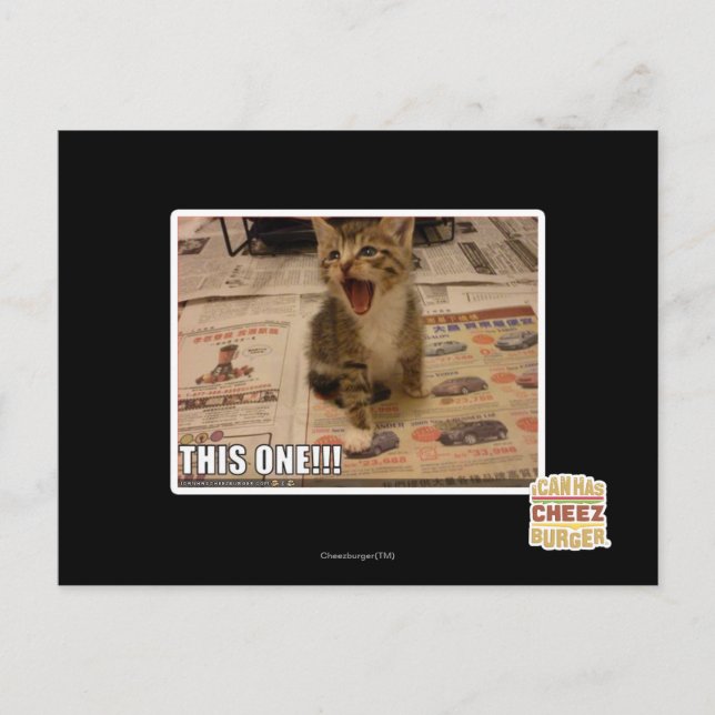 Dieses hier! postkarte (Vorderseite)