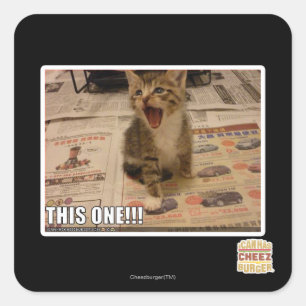 Dieses hier! quadratischer aufkleber