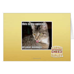 dieses ist meine Meinung