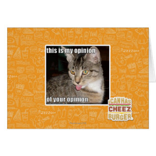 dieses ist meine Meinung