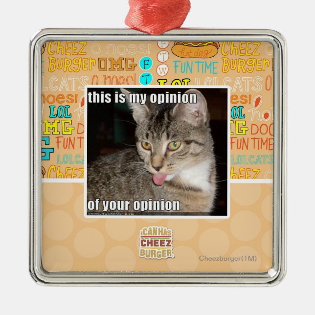 dieses ist meine Meinung Silbernes Ornament (Vorne)