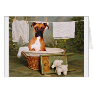 Dieses ist nicht lustig