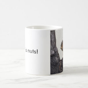 Dieses ist nuts! tasse