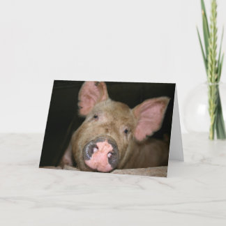 Dieses kleine Schweine sagt "Get well" Karte