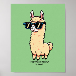 Dieses Lama-Drama ist eine wirklich sonderbare Pos Poster