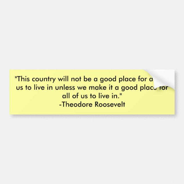 "Dieses Land ist nicht ein guter Ort für Autoaufkleber (Vorne)