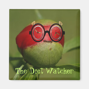 Diet Watcher Magnet