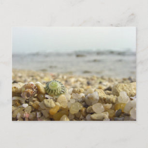 Differenz - Muschel und Kies am Strand Postkarte