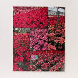 Difficult Christmas Poinsettias 500 pieces Puzzle