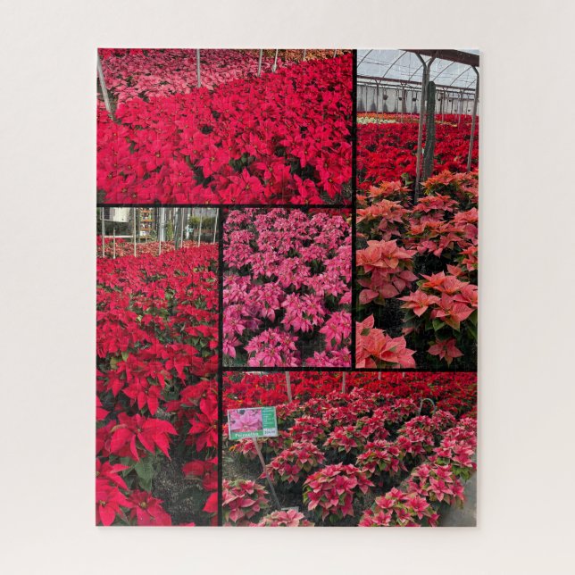 Difficult Christmas Poinsettias 500 pieces Puzzle (Vertikal)