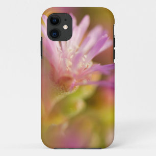 Diffuses Bild einer farbenfrohen Sukkulentenblume iPhone 11 Hülle