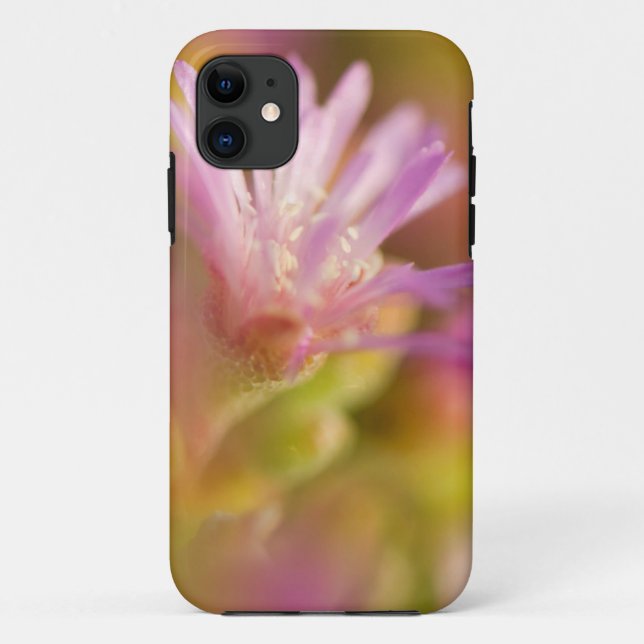 diffuses Bild einer farbigen, sukkulenten Blume Case-Mate iPhone Hülle (Rückseite)