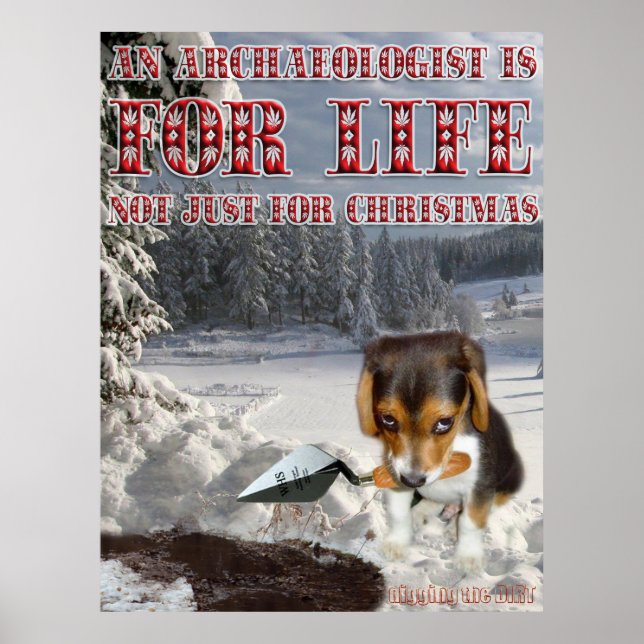 Digby! Poster (Vorne)