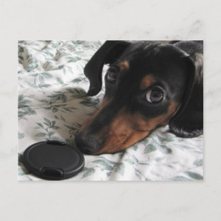 Digger Strike eine Pose Postkarte