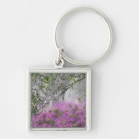 Digital Composite of Azaleas and Magnolia tree