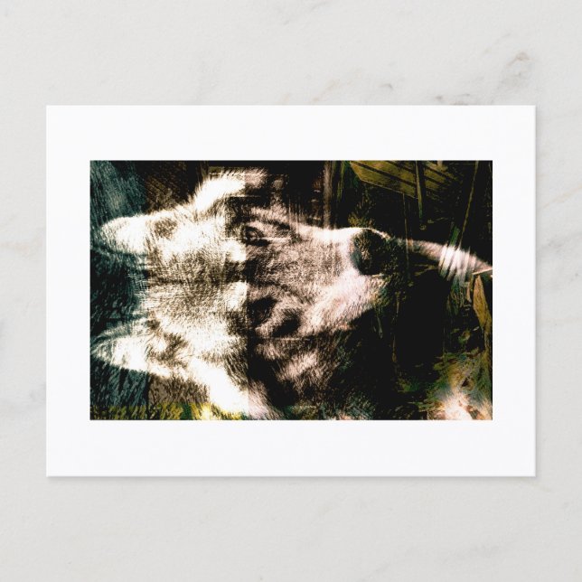 Digital Remix Art : Wolf Postcard Print by JHT Postkarte (Vorderseite)
