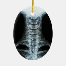 Digital-Röntgenstrahl-Kunst (Gewohnheits-hinterer Keramik Ornament