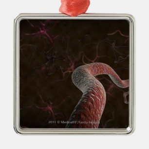 Digital-Wiedergabe der Neuronen Silbernes Ornament