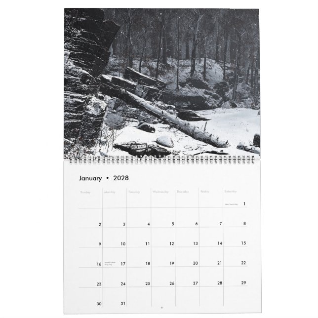 Digitale Blasphemie - Mauerkalender 2025 Kalender (Jan 2028)