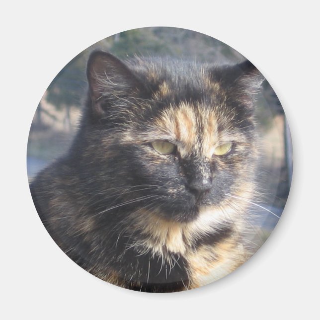 Digitale Katze Magnet (Vorne)