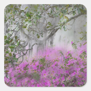 Digitale Komposition aus Azaleen und Magnolienbaum Quadratischer Aufkleber