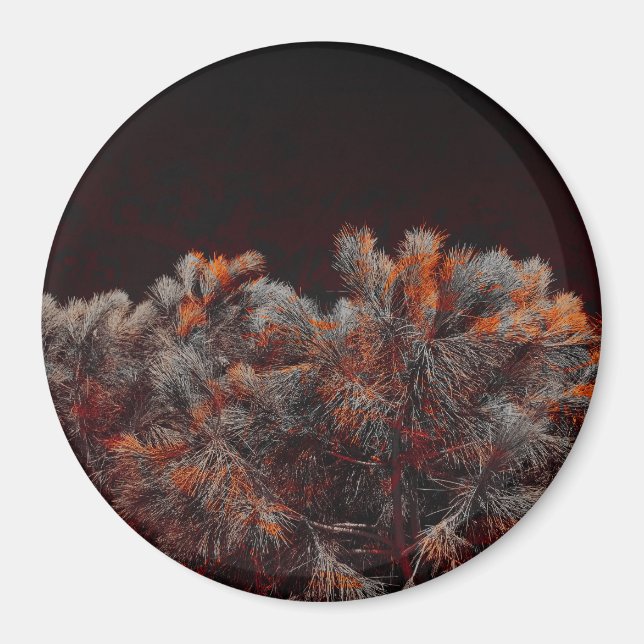 Digitale Kunst des Kiefernbaums mit orangefarbenen Magnet (Vorne)