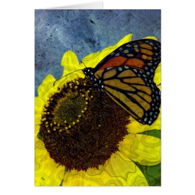 Digitale Kunst und Schmetterling und Sonnenblumen (Vorne)