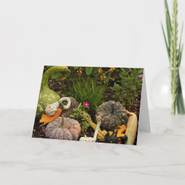 Digitale Kunstkarte für Gourds und Pumpkin Karte