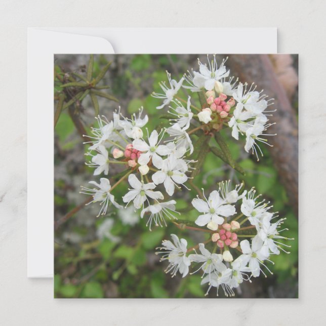 Digitale Postkarte (Vorderseite)