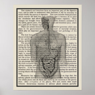 Digitale Systemanatomie Art Print #5 Poster