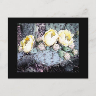 Digitale Tintenaufnahme der Cactus Blume Postkarte