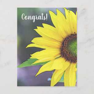 Digitale Wasserfarbe für Sonnenblumen 2 Postkarte