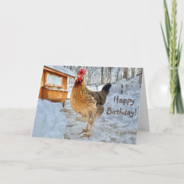 Dignified Chicken Happy Birthday Karte