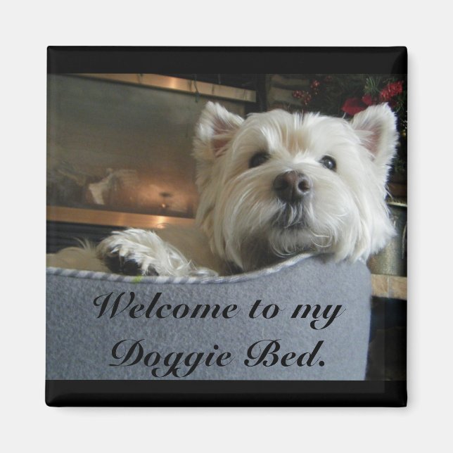 Dignified Westie Foto Magnet (Vorne)