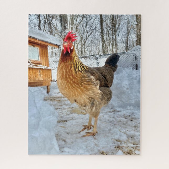 Dignithähnchen Puzzle (Vertikal)