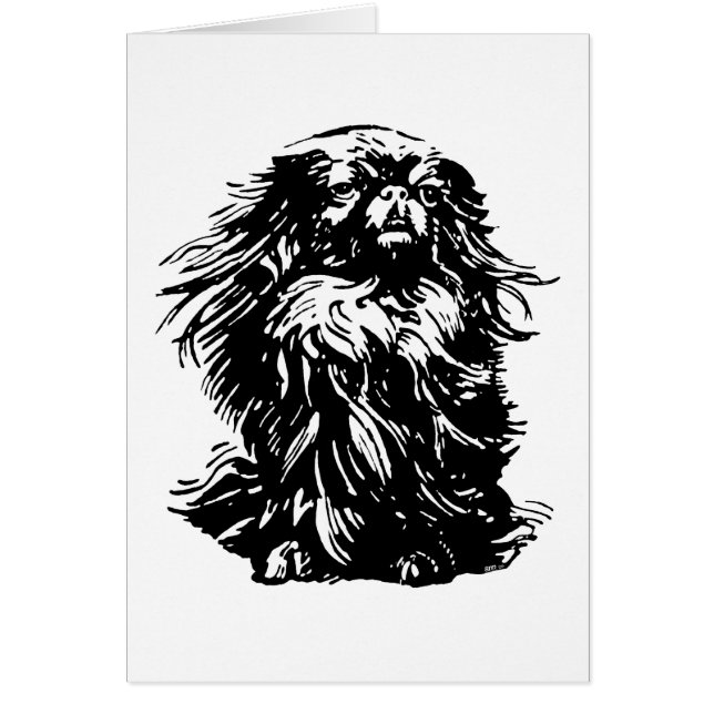 Dignity Pekingese (Vorne)