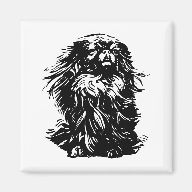 Dignity Pekingese Magnet (Vorne)