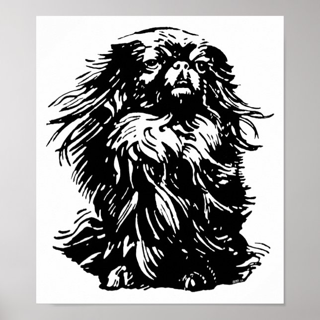 Dignity Pekingese Poster (Vorne)