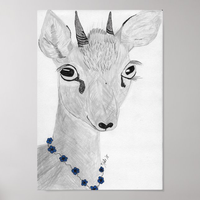 Dik- Dik Poster (Vorne)