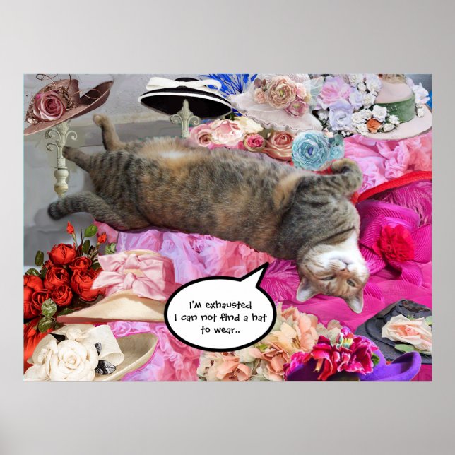 Dilemma der Princess Tatus Katze mit Diva Hats Poster (Vorne)