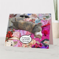 Dilemma der Prinzessin Tatus Cat